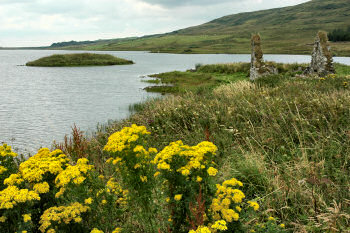 Picture of ruins of medieval buildings on a small island in a loch (lake)