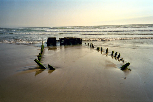 Picture of a ship wreck visible above the sand