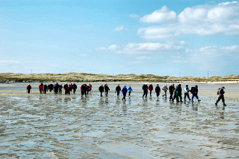 Picture of a group of walkers crossing a beach at low tide