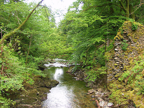Picture of river running through woods, the ruins of an old water mill on the right