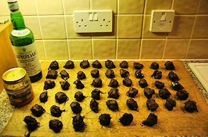 Picture of Islay Whisky Honey Chocolate Truffles cooling down