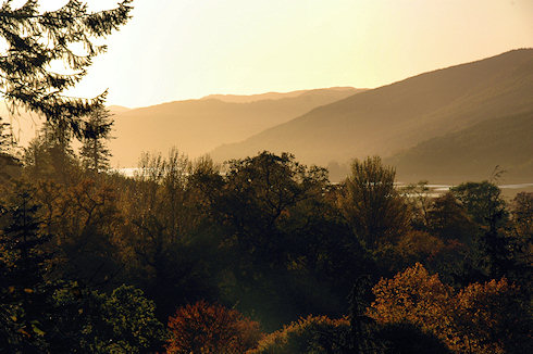 Picture of an autumn sunset in a garden overlooking a sea loch