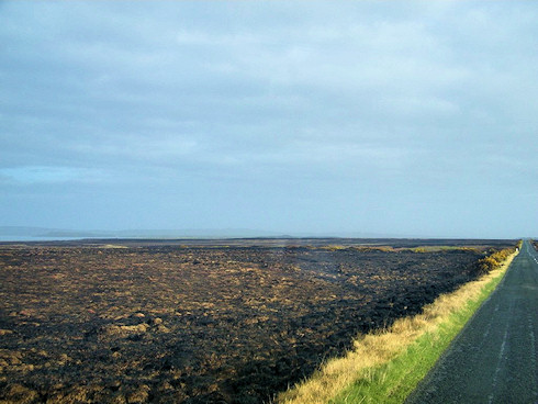 View over a burned and charred landscape after a heather fire