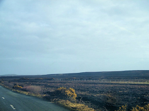 View over a burned and charred landscape after a heather fire