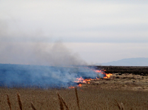 Picture of a wild fire still burning