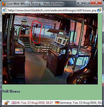 Screenshot of a still house webcam, a balloon circled to highlight it