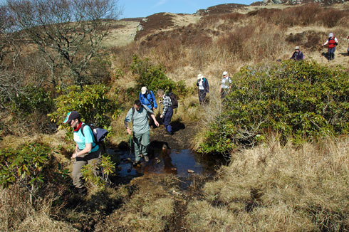 Picture of a group of walkers crossing a burn on Islay