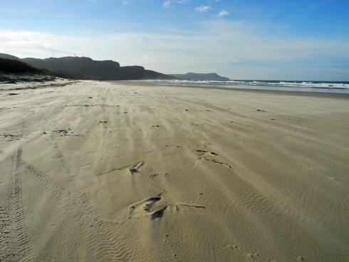 Picture of windblown sand in a wide sandy bay on a sunny day