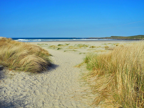 Picture of a view along a track through dunes on to a sandy beach