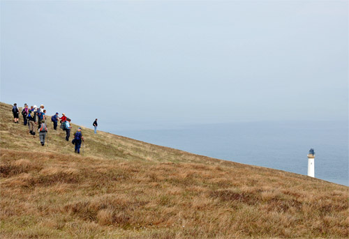 Picture of walkers on a hill, overlooking a lighthouse