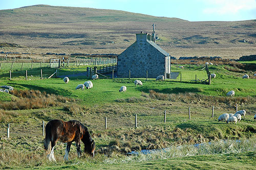 Picture of a horse grazing next to a burn and a stone cottage